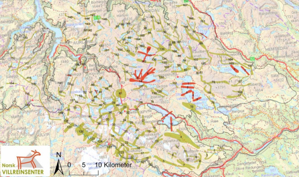 De røde påtegnede strekene viser gamle trekkruter for villrein i Nordfjella - som nå er neddemmet. (Illustrasjon: Strand et al 2011)
