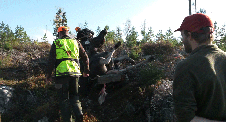 Vanskelig å drive jaktturisme i Norge