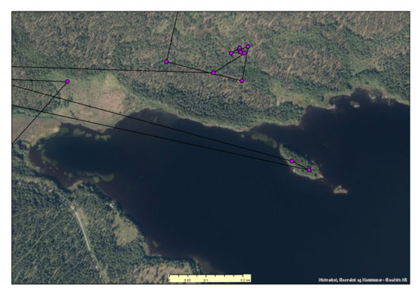 Hind 359 tilbringer to kveldstimer den 7.oktober 2011 ute på en liten holme i Næra (Ring 7 i kartet)