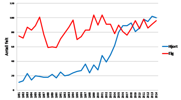 Figur 1: Elgbestanden i Rennebu har holdt seg nokså stabil over en lang periode, mens hjortestammen har økt kraftig siste 15 åra.
