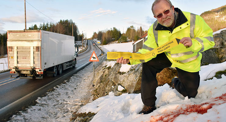 Viltbånd til norske bilister