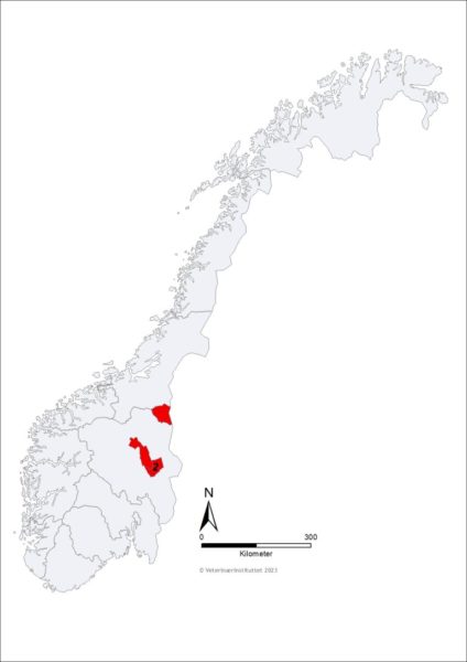 Kartet viser kommuner (Røros, Åmot og Stor-Elvdal) med påvist parasitten E. canadensis G10 hos elg i 2023.